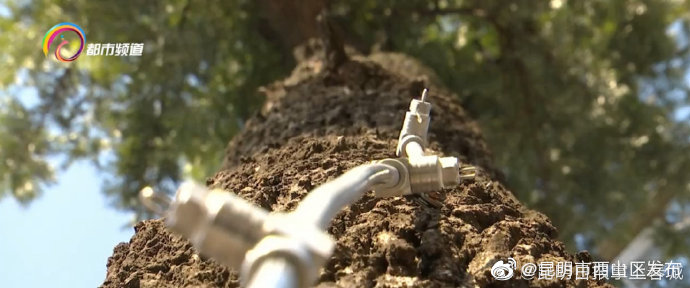 “昆明市西山区发布”微博