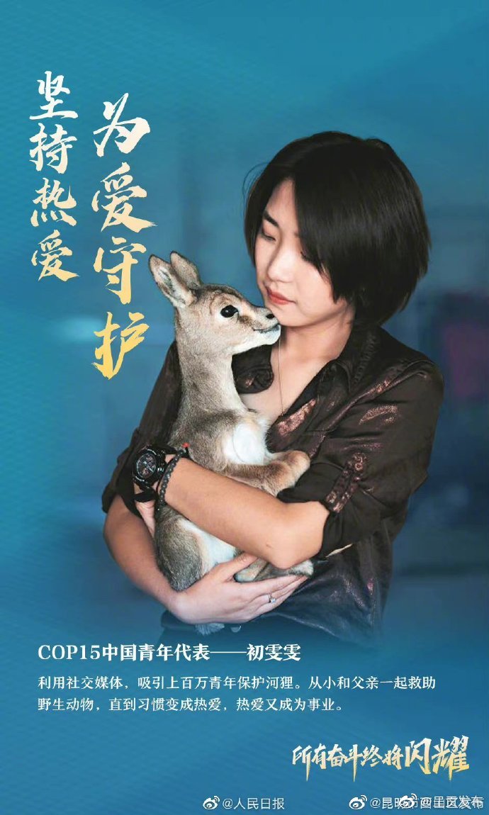 呈贡发布