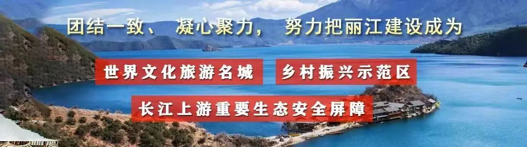丽江新闻