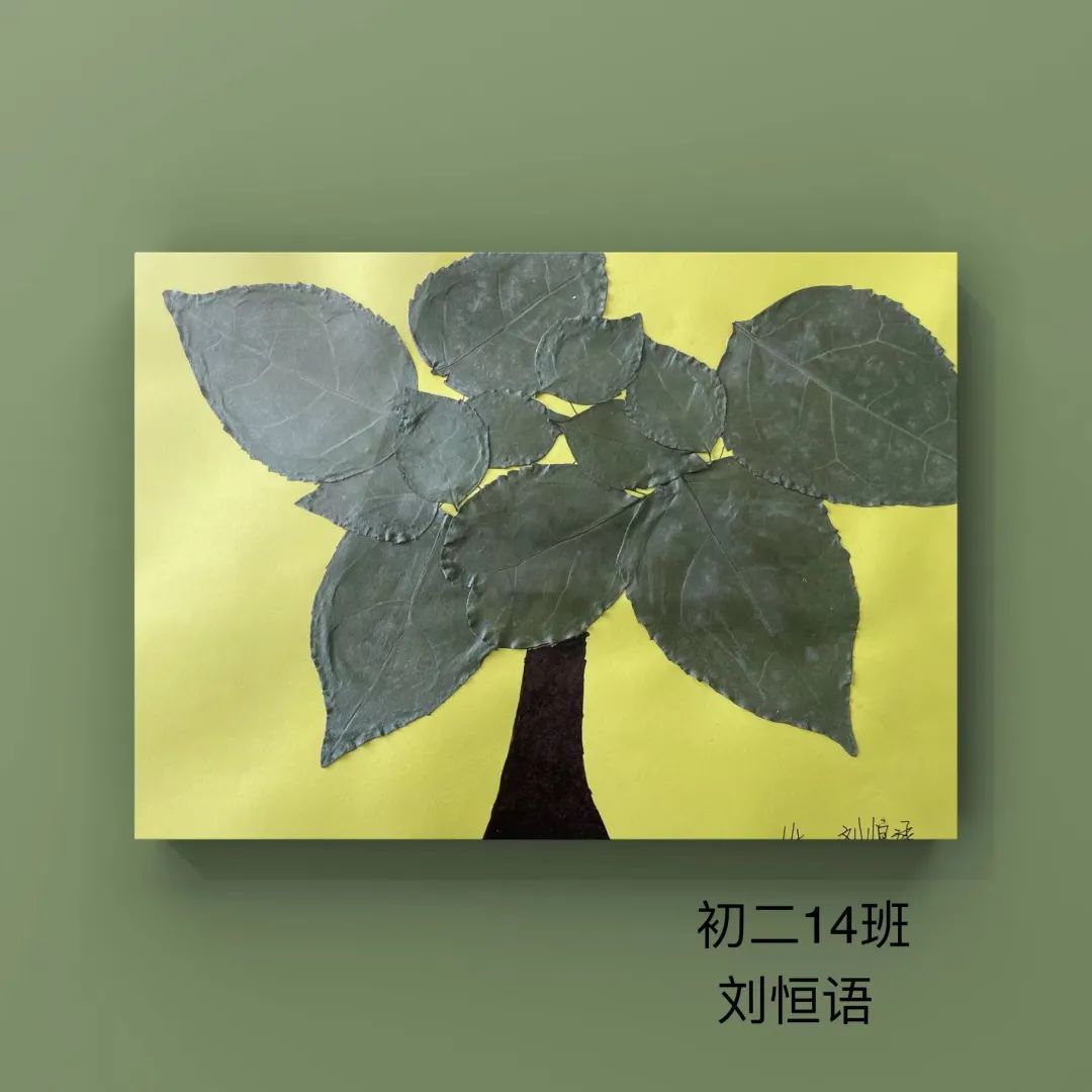 盘龙教育(微信)