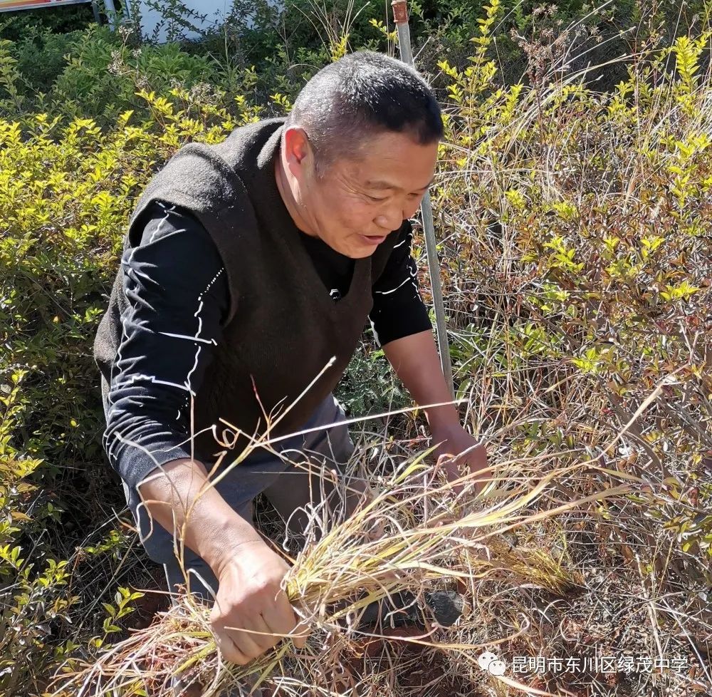东川教育(微信)