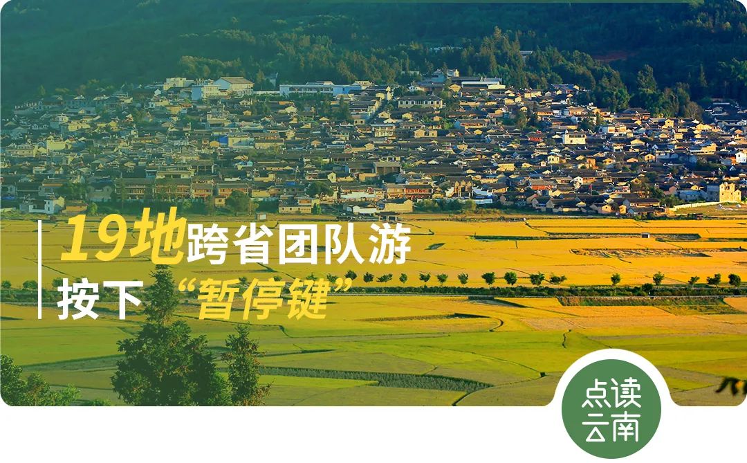 云南省人民政府网