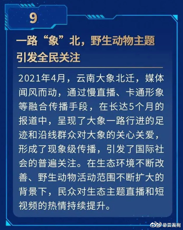 云南亚洲象北移入选2021视听新媒体领域十大新闻