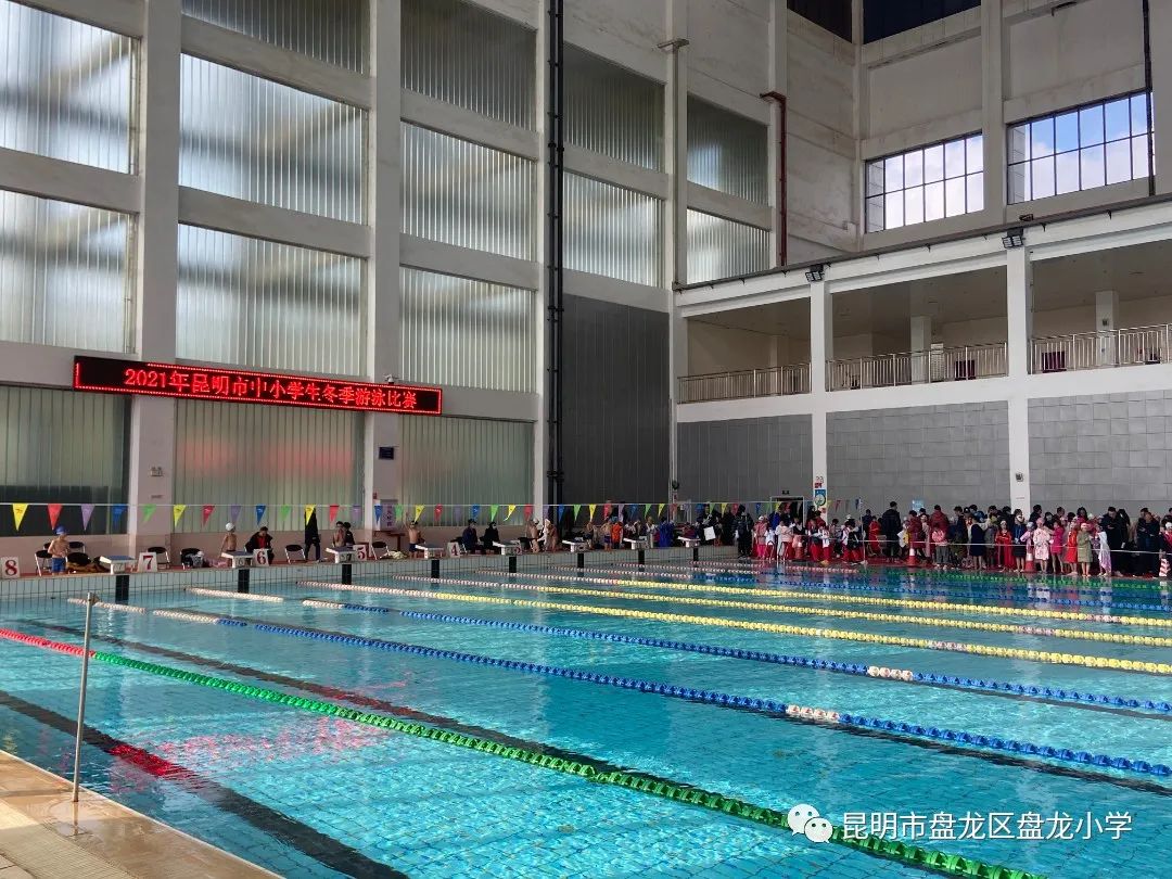 盘龙教育(微信)