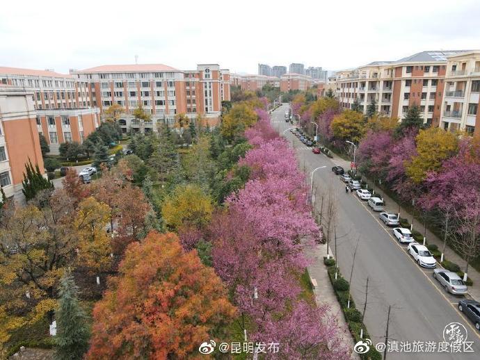 “滇池旅游度假区”微博