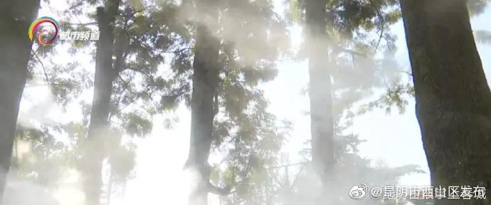 “昆明市西山区发布”微博