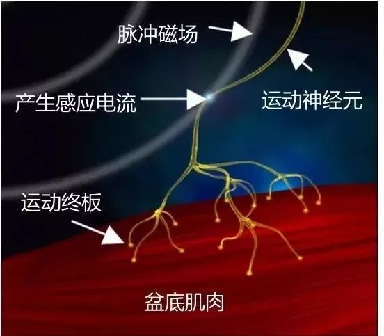 蒙自市人民医院快讯