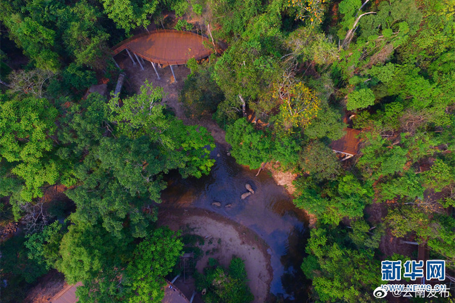 “云南发布”微博