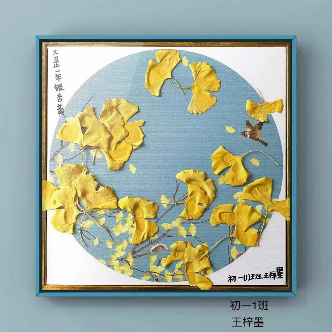 盘龙教育(微信)