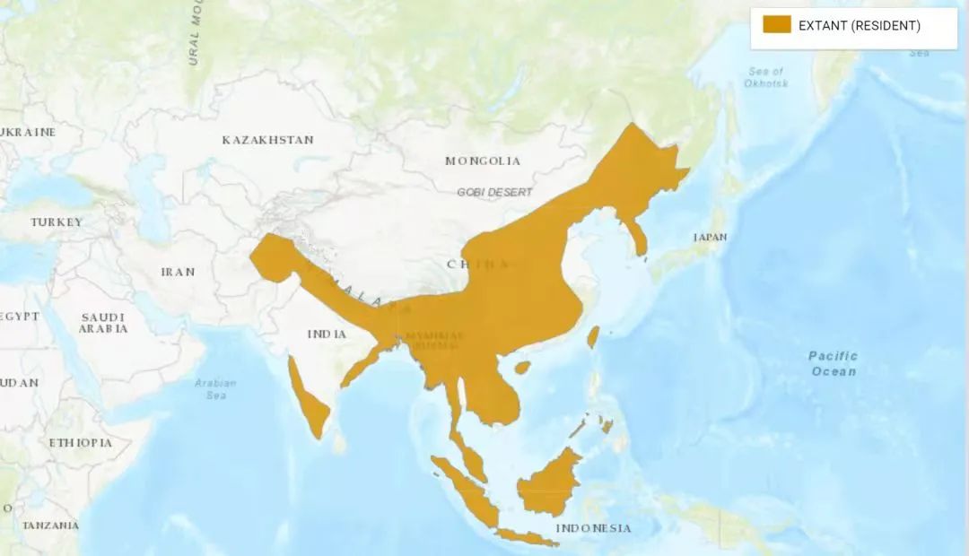 云南野生动物园