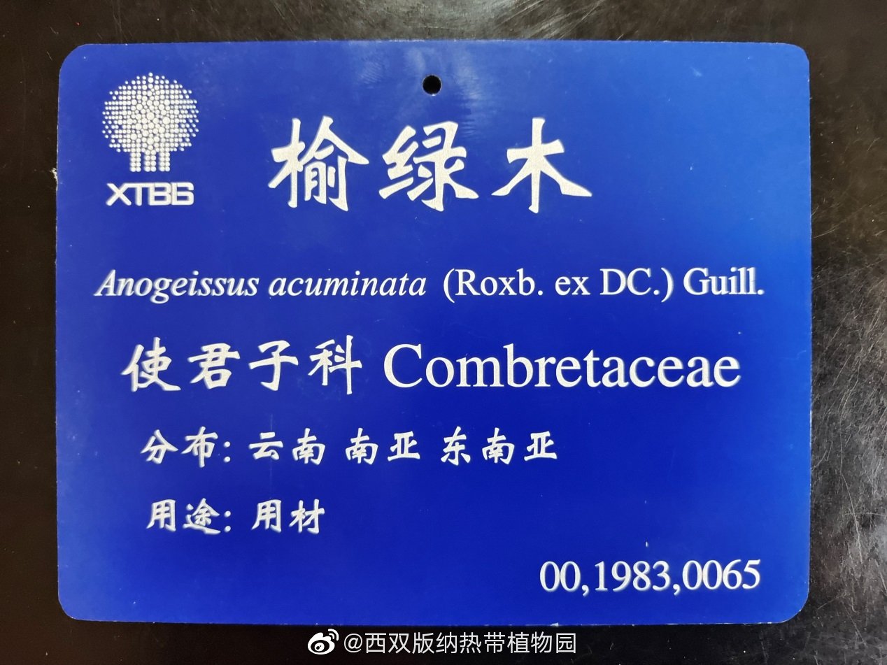 2793种！版纳植物园科学牌最新数据