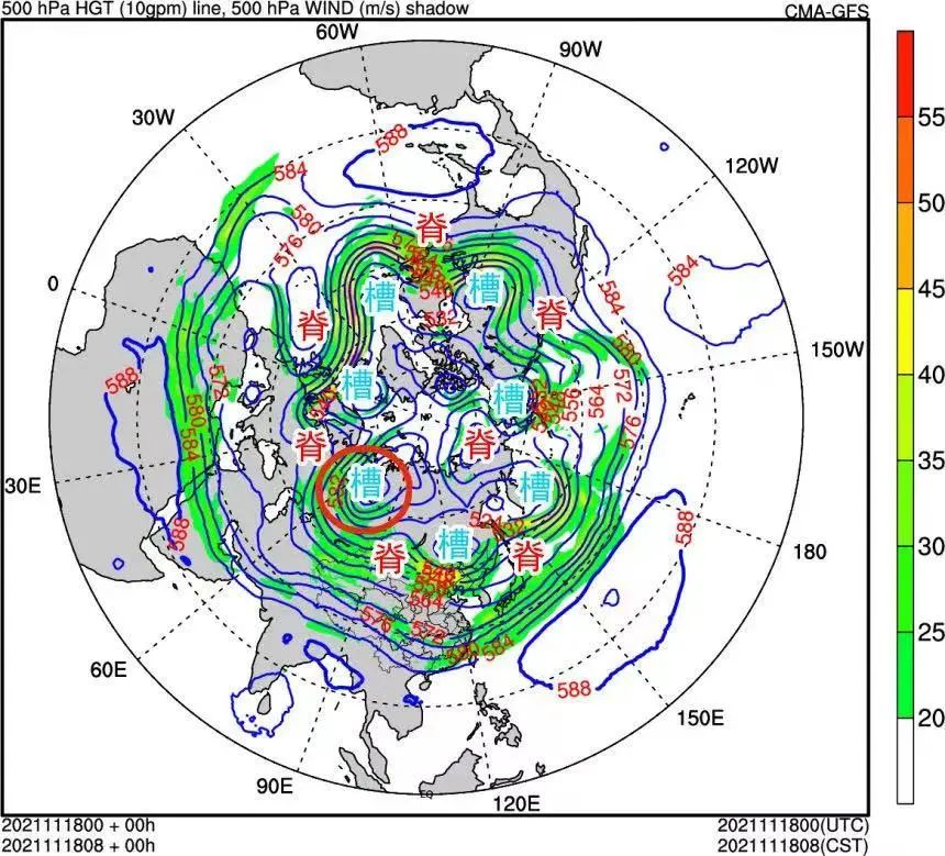 美丽云南微科普