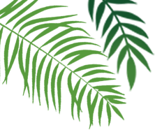 保山新闻网
