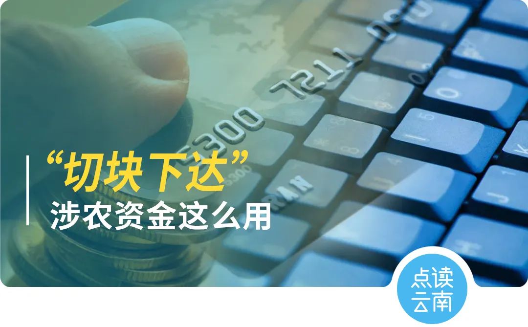 云南省人民政府网