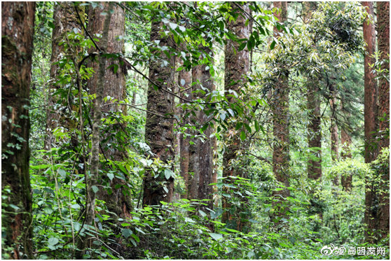 云南省未来24小时天气预报