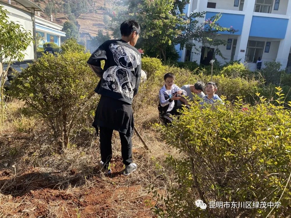 东川教育(微信)