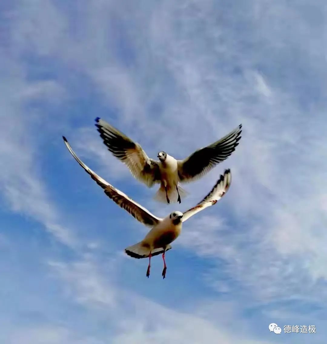 918云南交通台(微信)