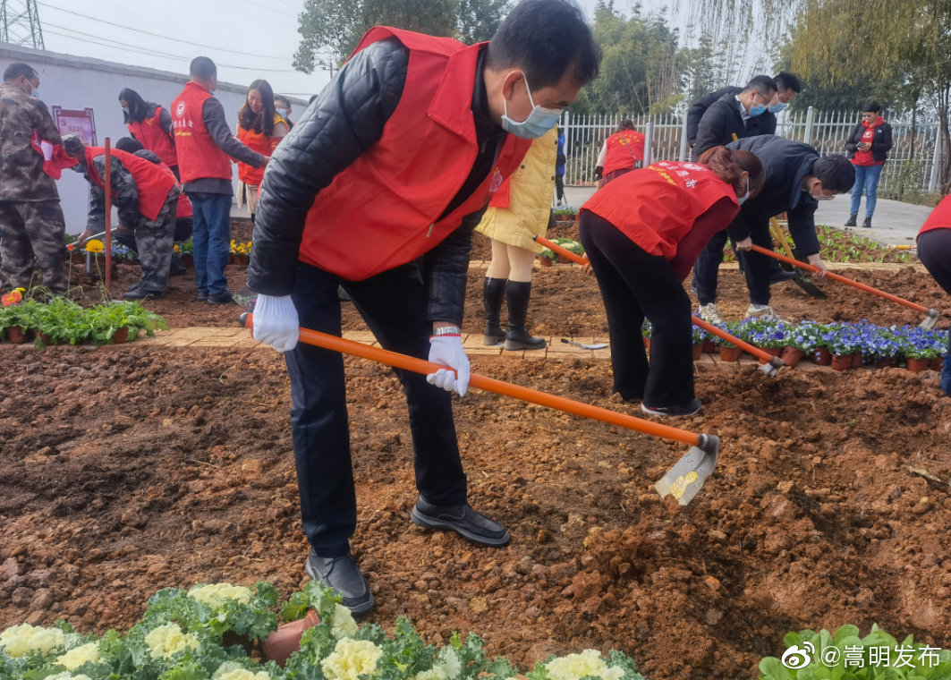 嵩明发布