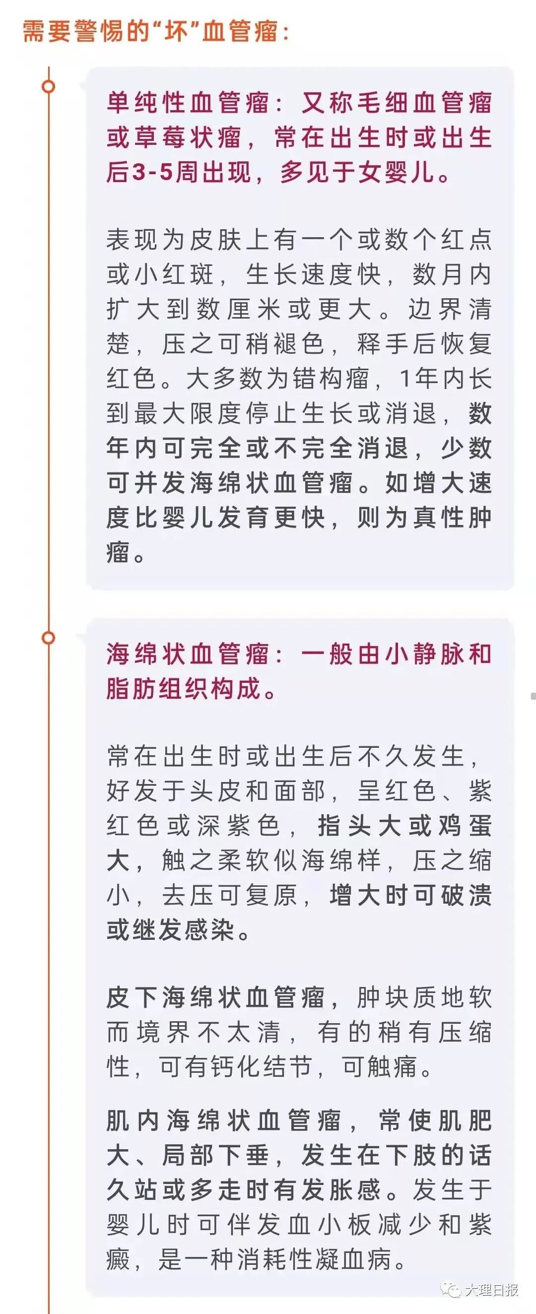 大理日报