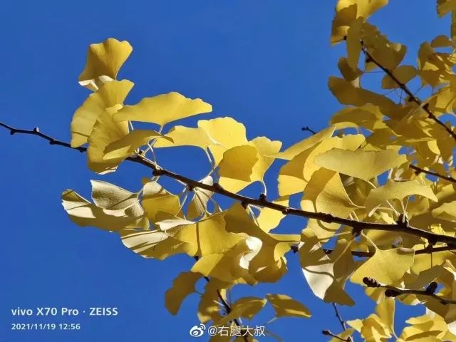 春城晚报