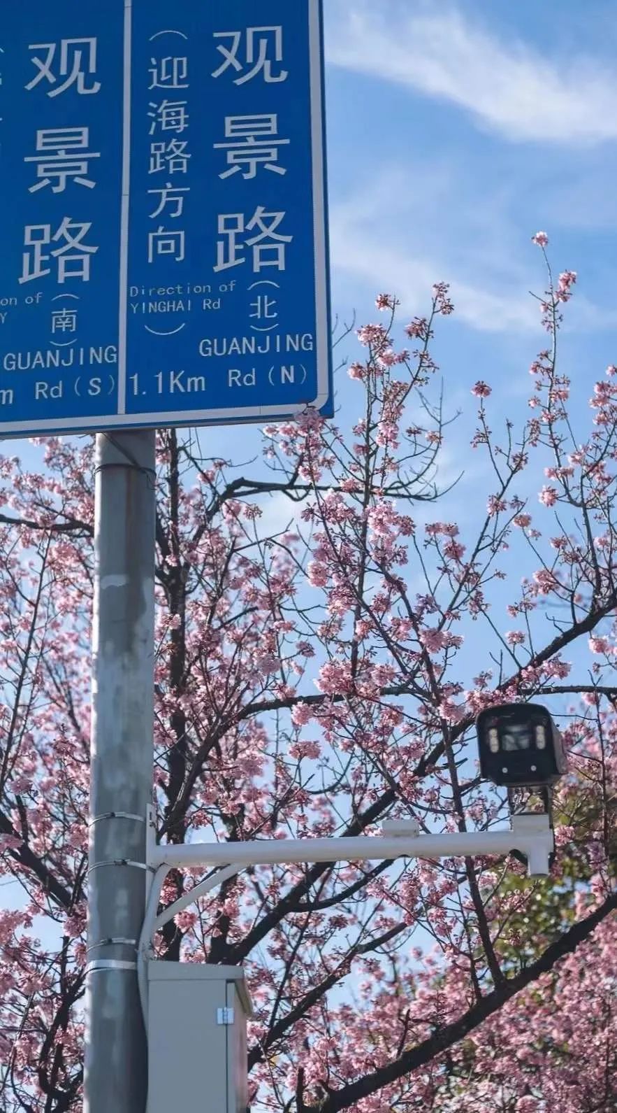 昆明滇池国家旅游度假区管理委员会(微信)