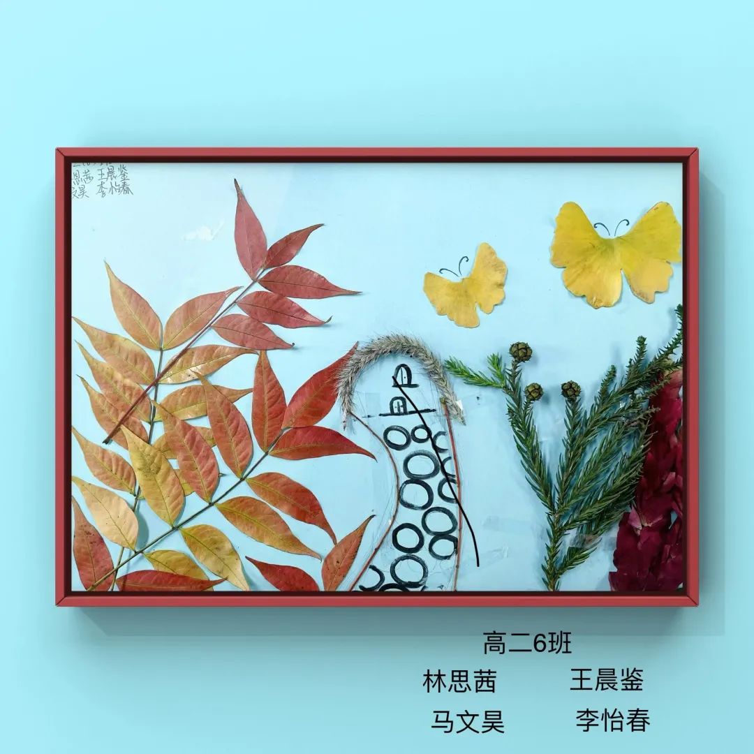 盘龙教育(微信)