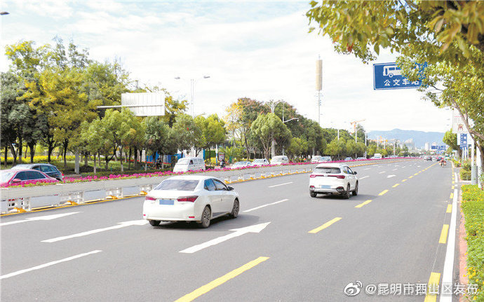 网约写手、主播...选择新兴职业的年轻人过得怎么样?