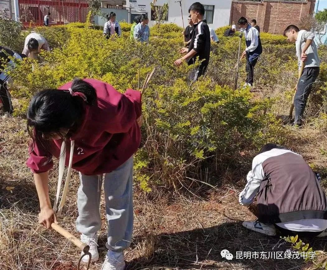东川教育(微信)