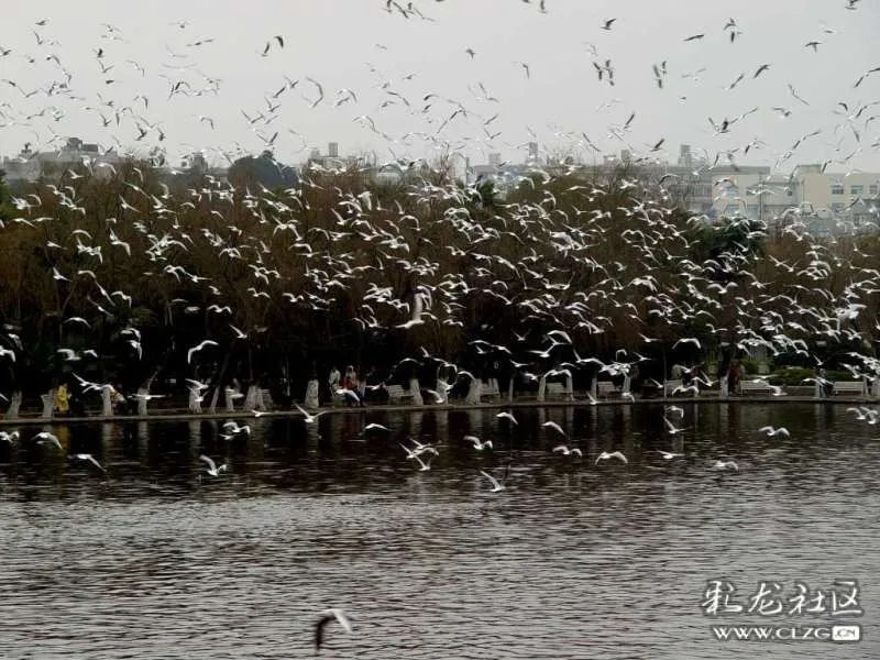 昆明信息港/cnkmxxg