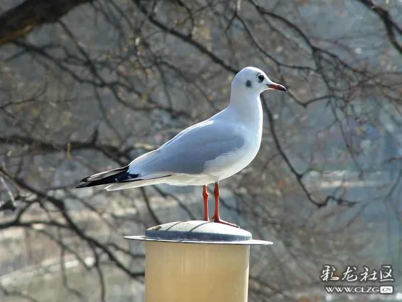 昆明信息港/cnkmxxg