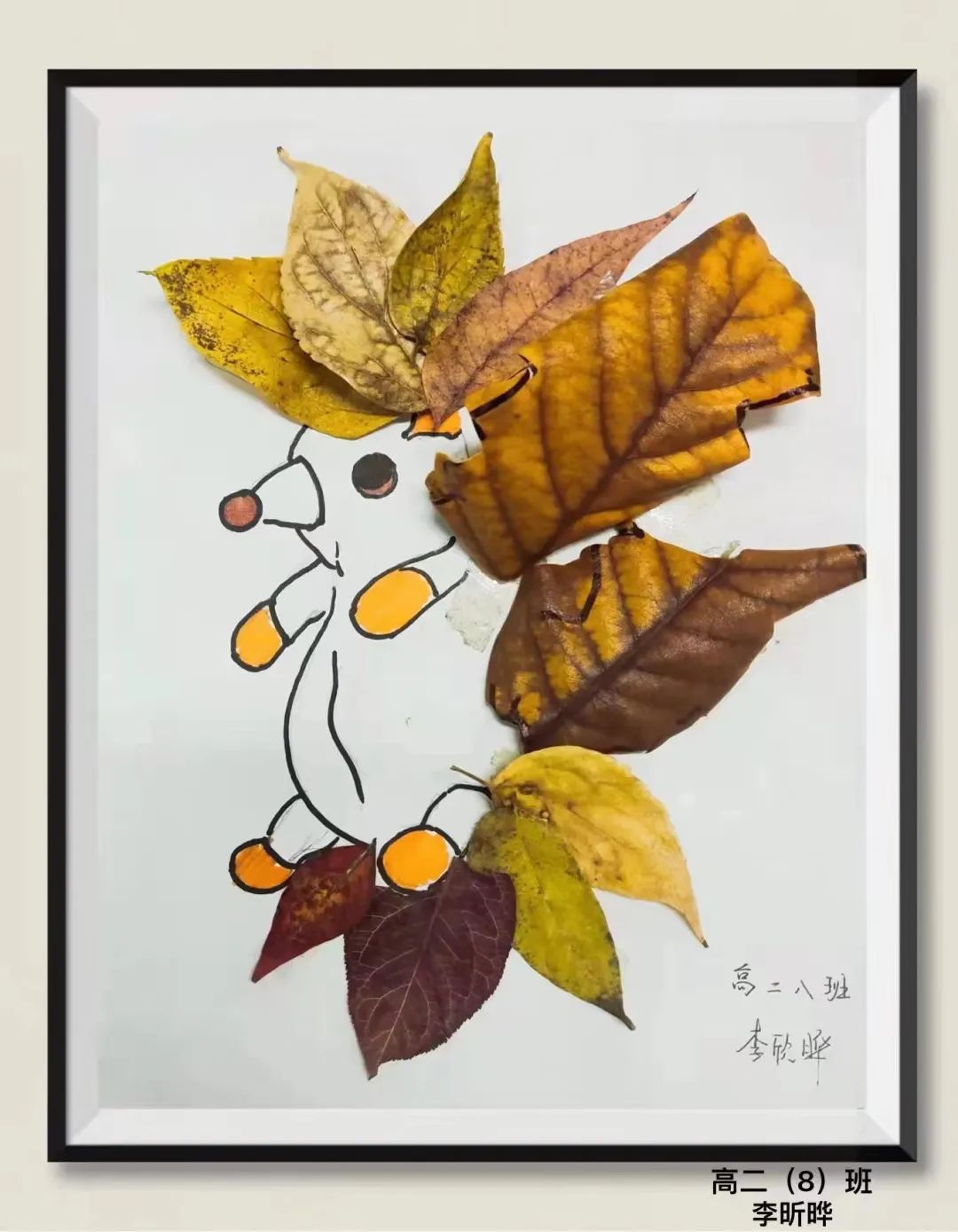 盘龙教育(微信)