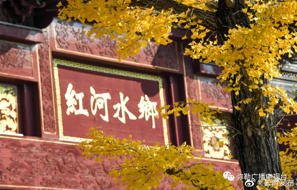 “云南发布”微博