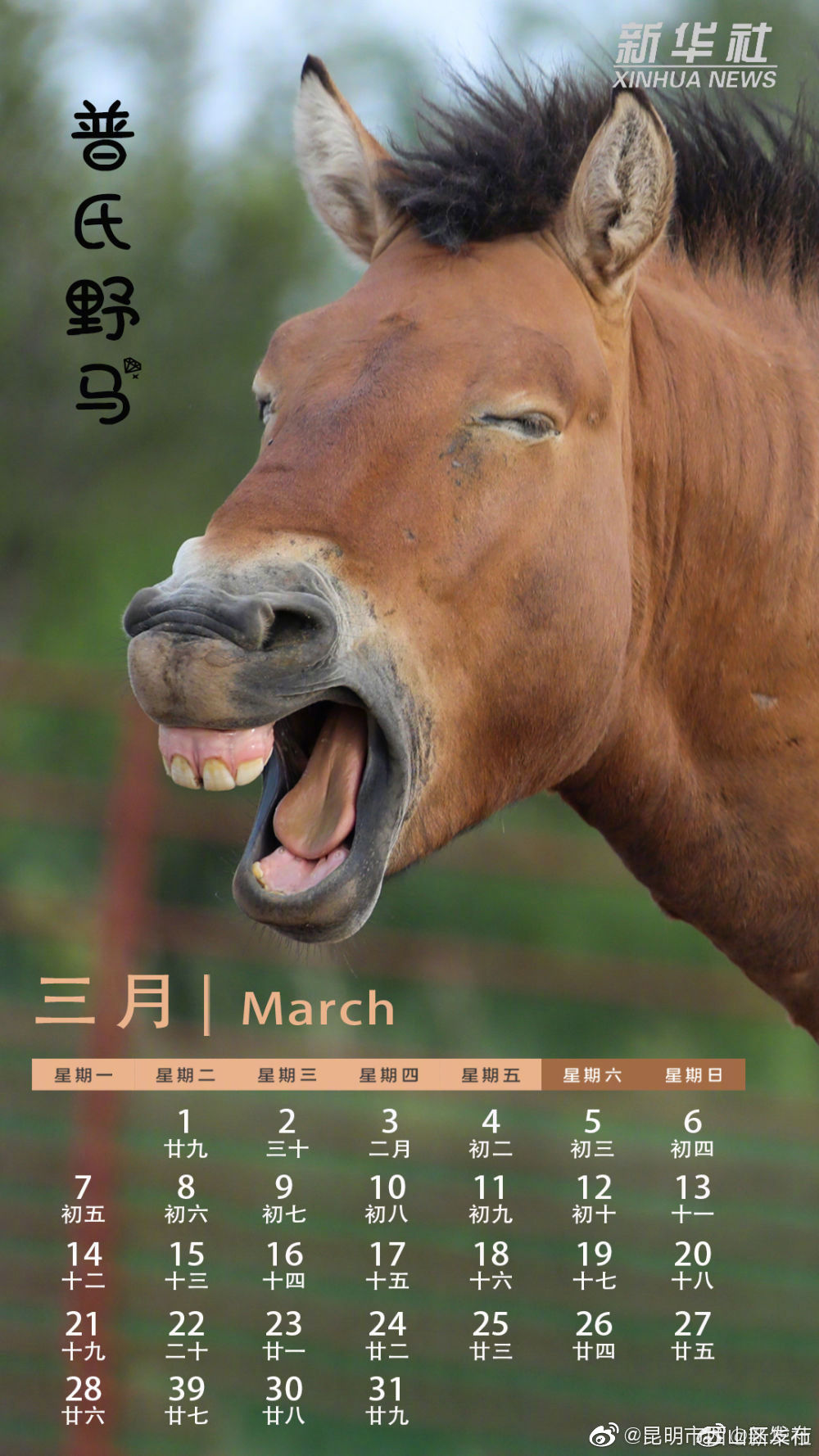 “昆明市西山区发布”微博