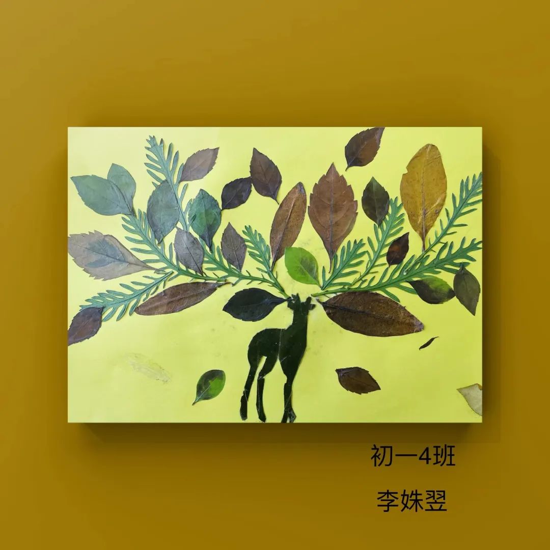 盘龙教育(微信)
