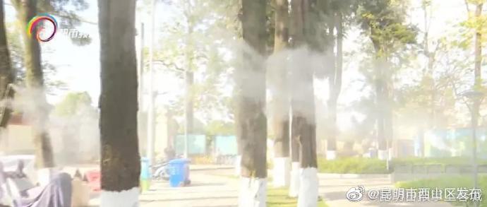 “昆明市西山区发布”微博