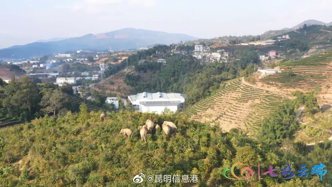 昆明信息港