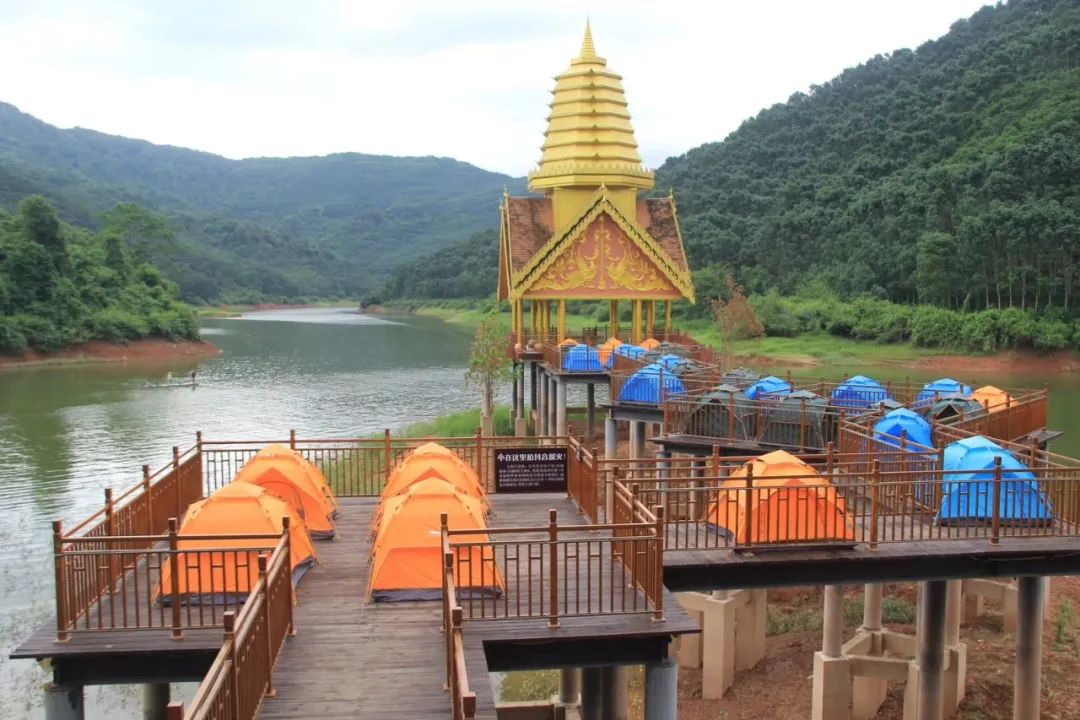 西双版纳望天树景区