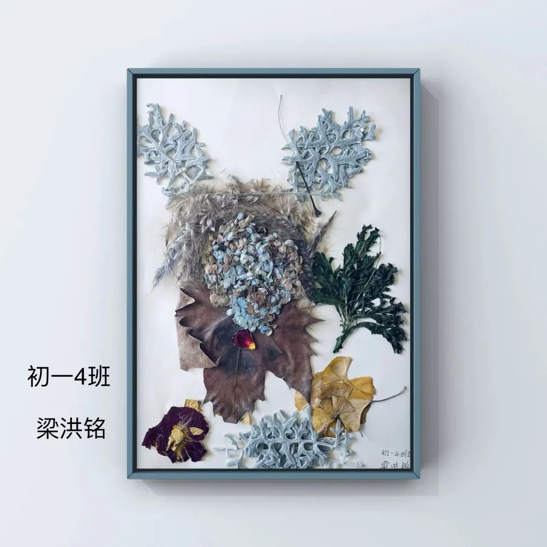盘龙教育(微信)