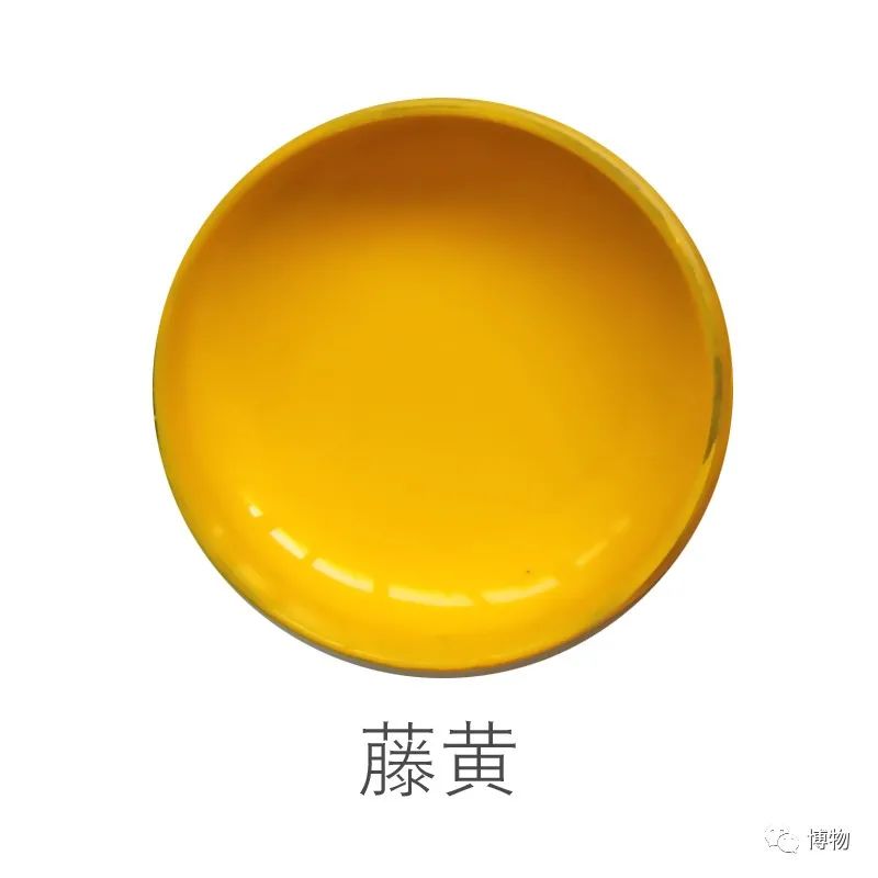 西双版纳望天树景区