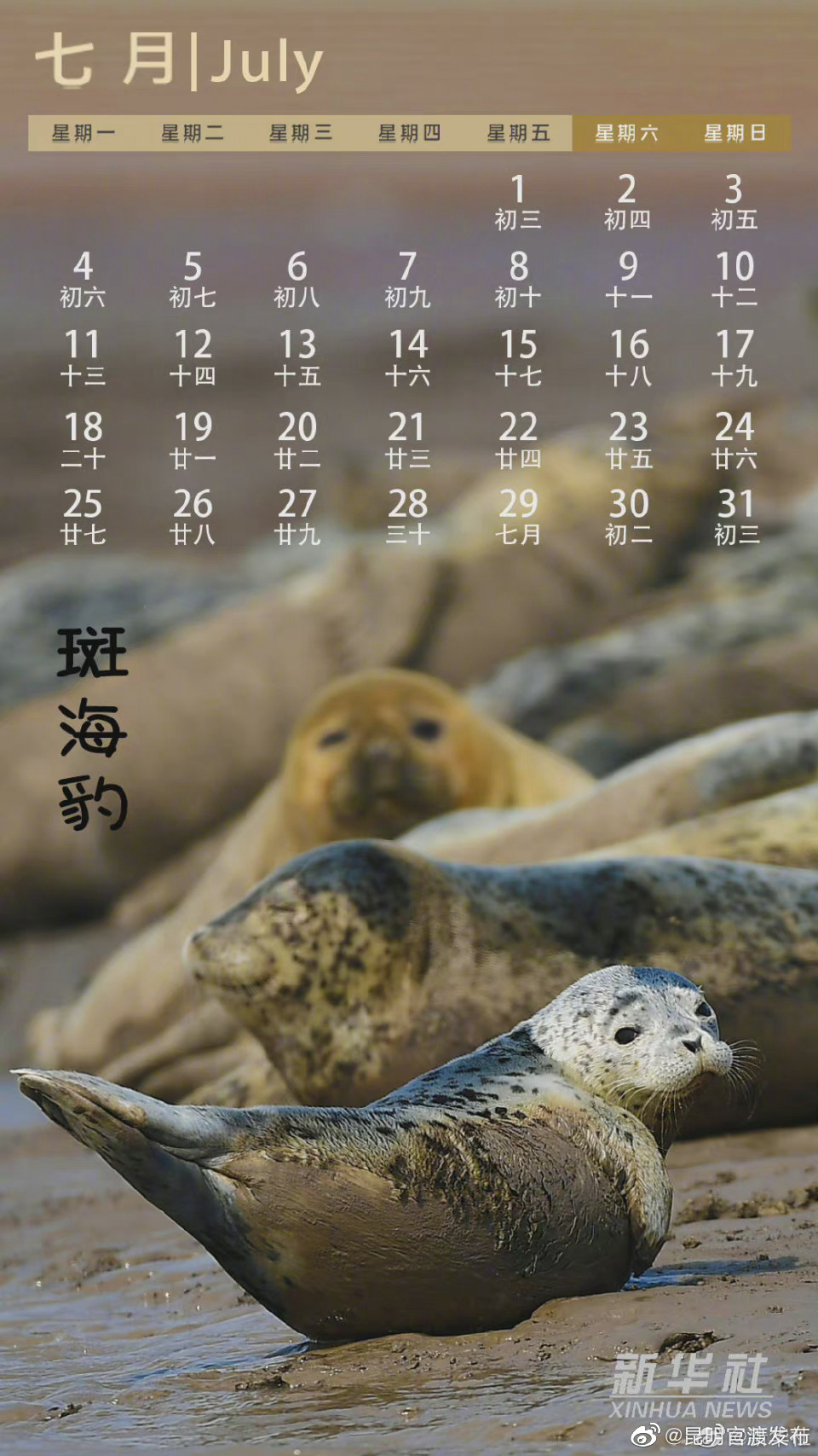 “昆明官渡发布”微博