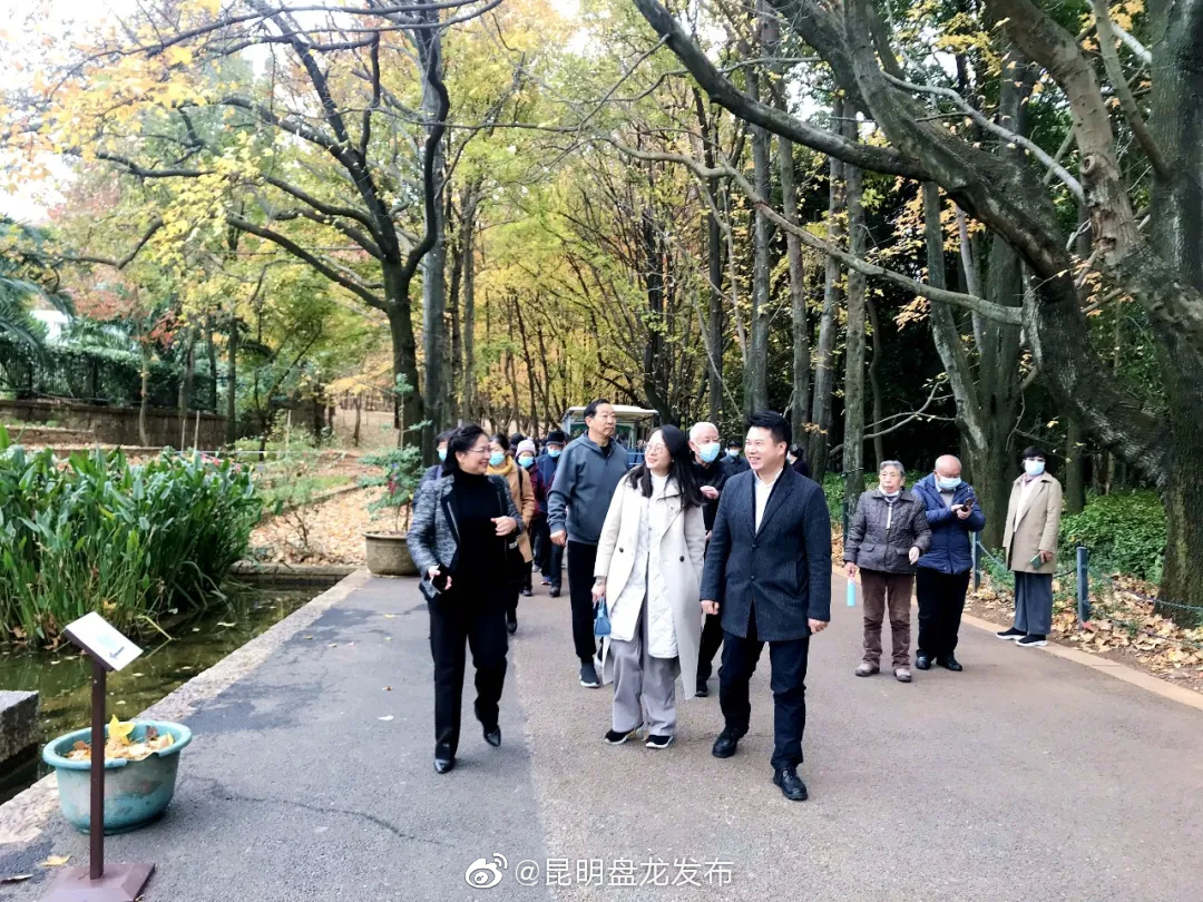 昆明盘龙发布