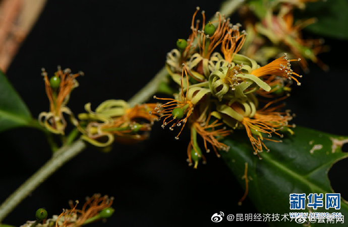 昆明经济技术开发区管委会