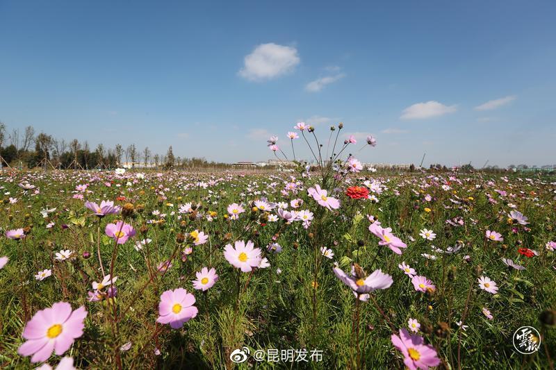 昆明发布