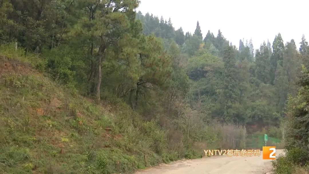 昆明信息港/cnkmxxg