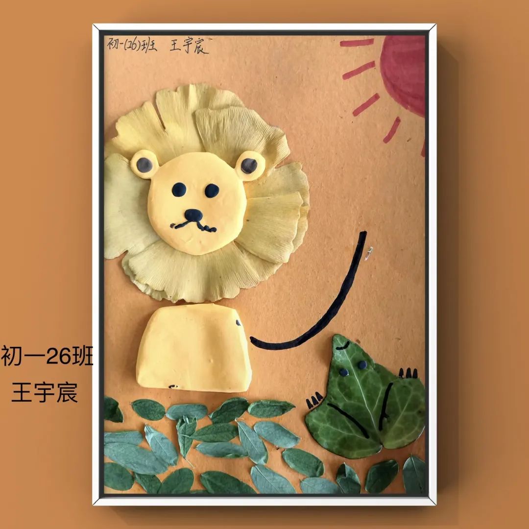 盘龙教育(微信)