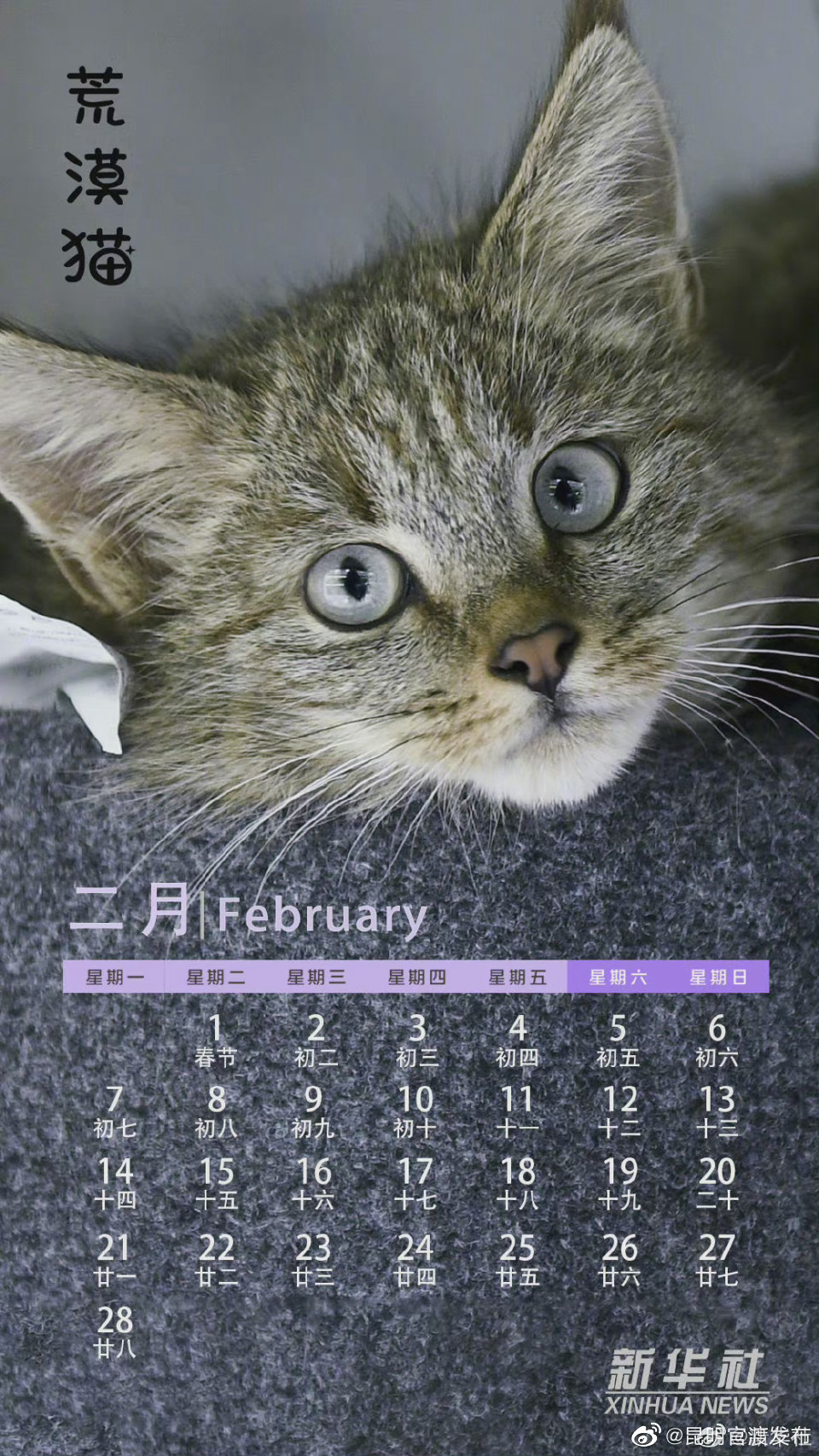 “昆明官渡发布”微博