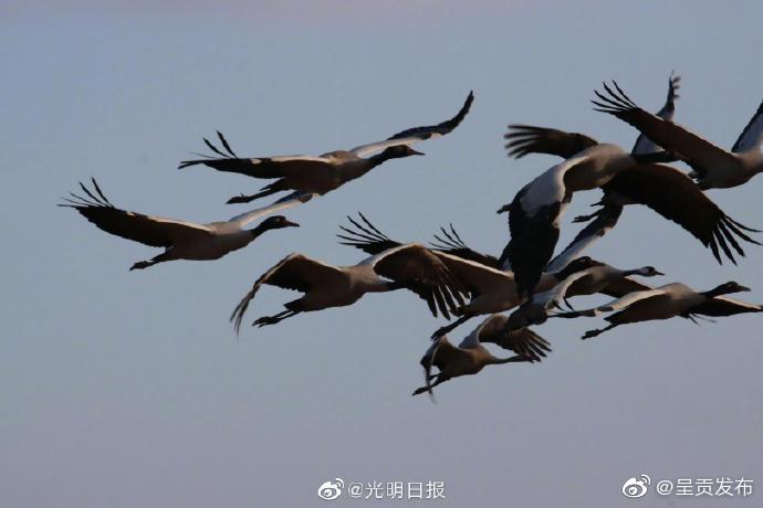 呈贡发布