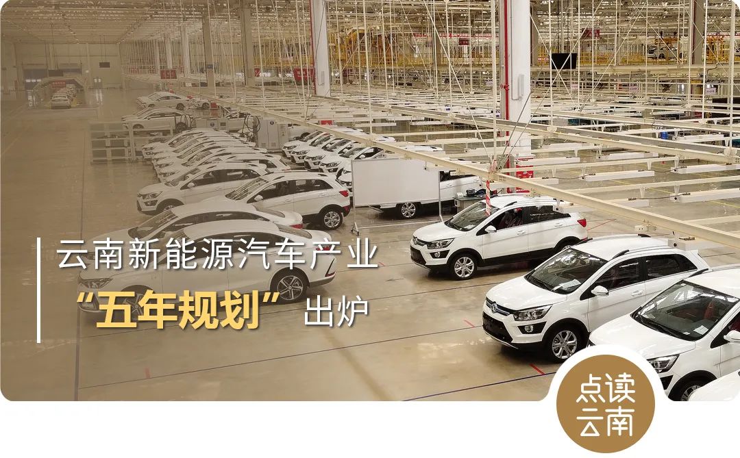 云南省人民政府网