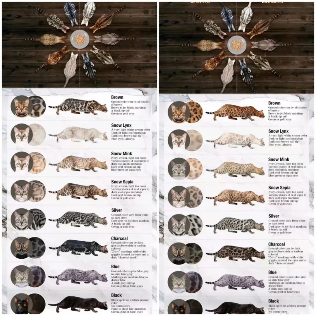 云南野生动物园