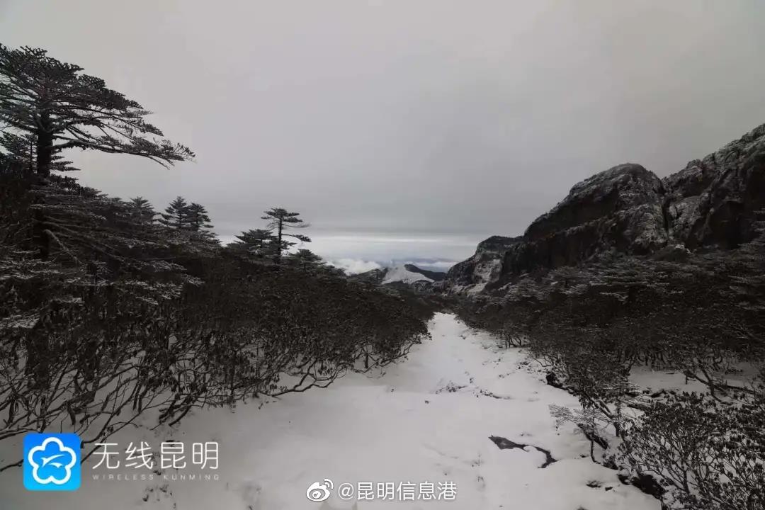 昆明信息港